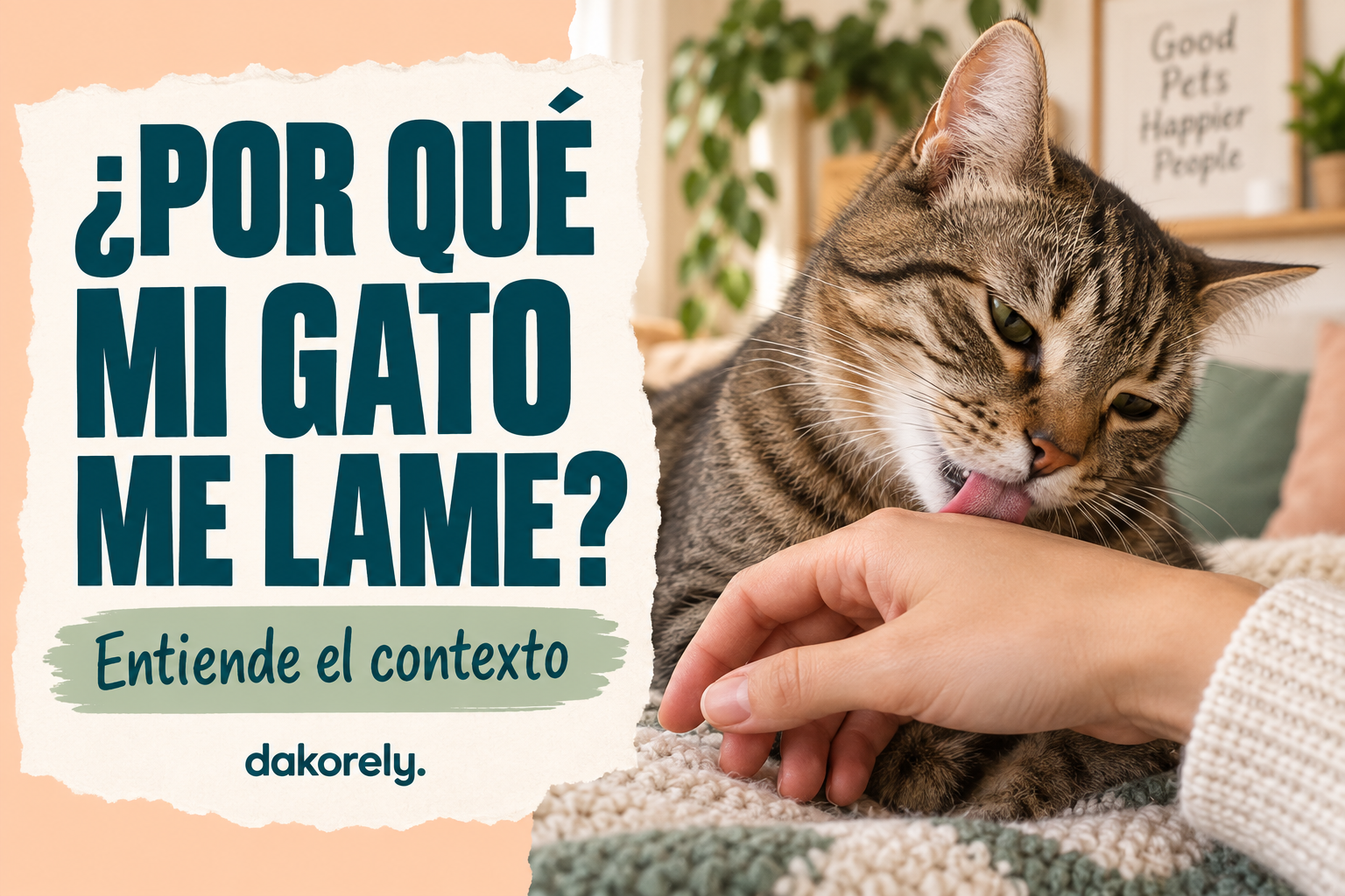 Por qué mi gato me lame: motivos y qué hacer