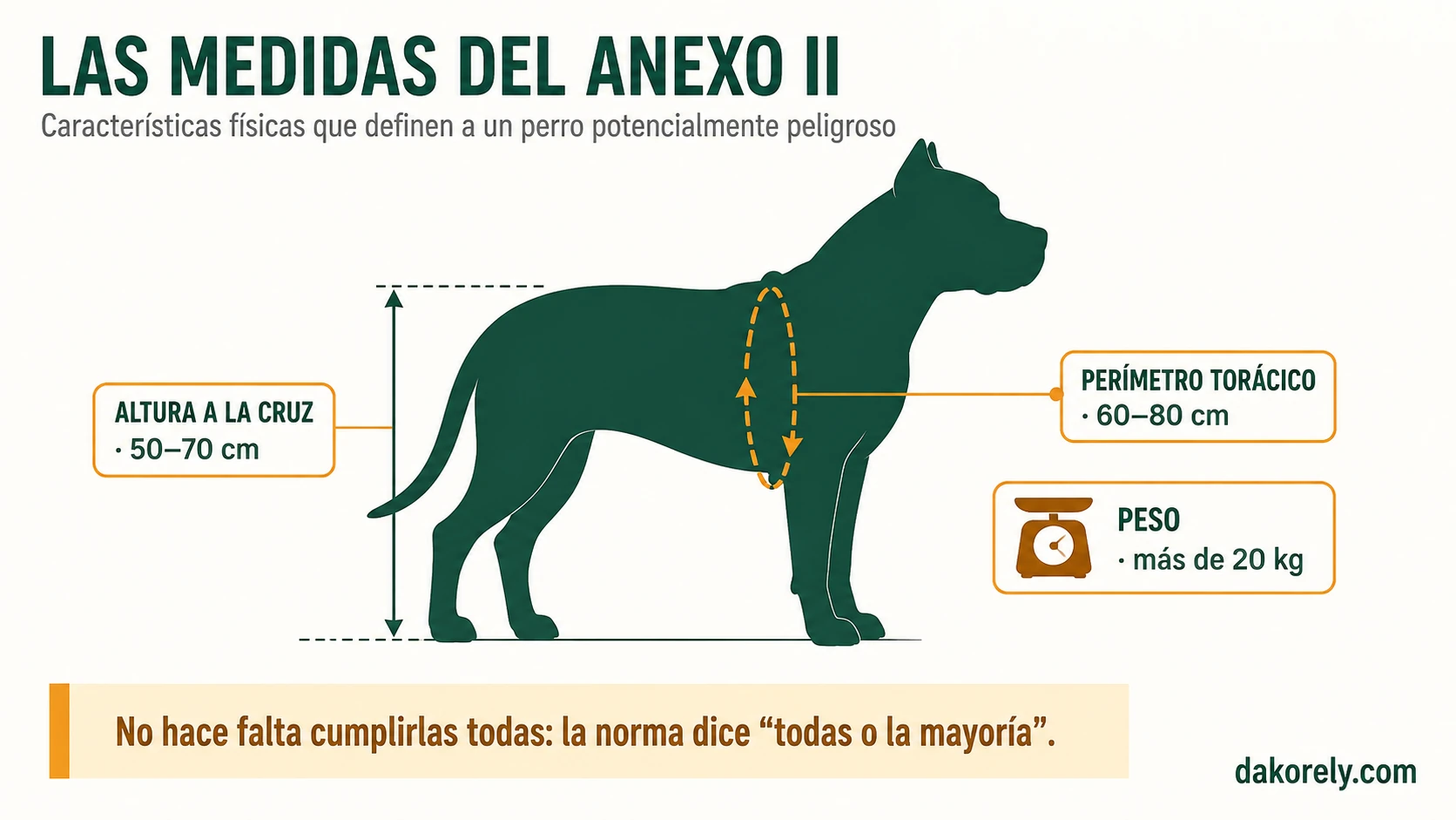 Silueta de perro con las medidas del Anexo II: altura a la cruz de 50 a 70 cm, perímetro torácico de 60 a 80 cm y peso superior a 20 kg