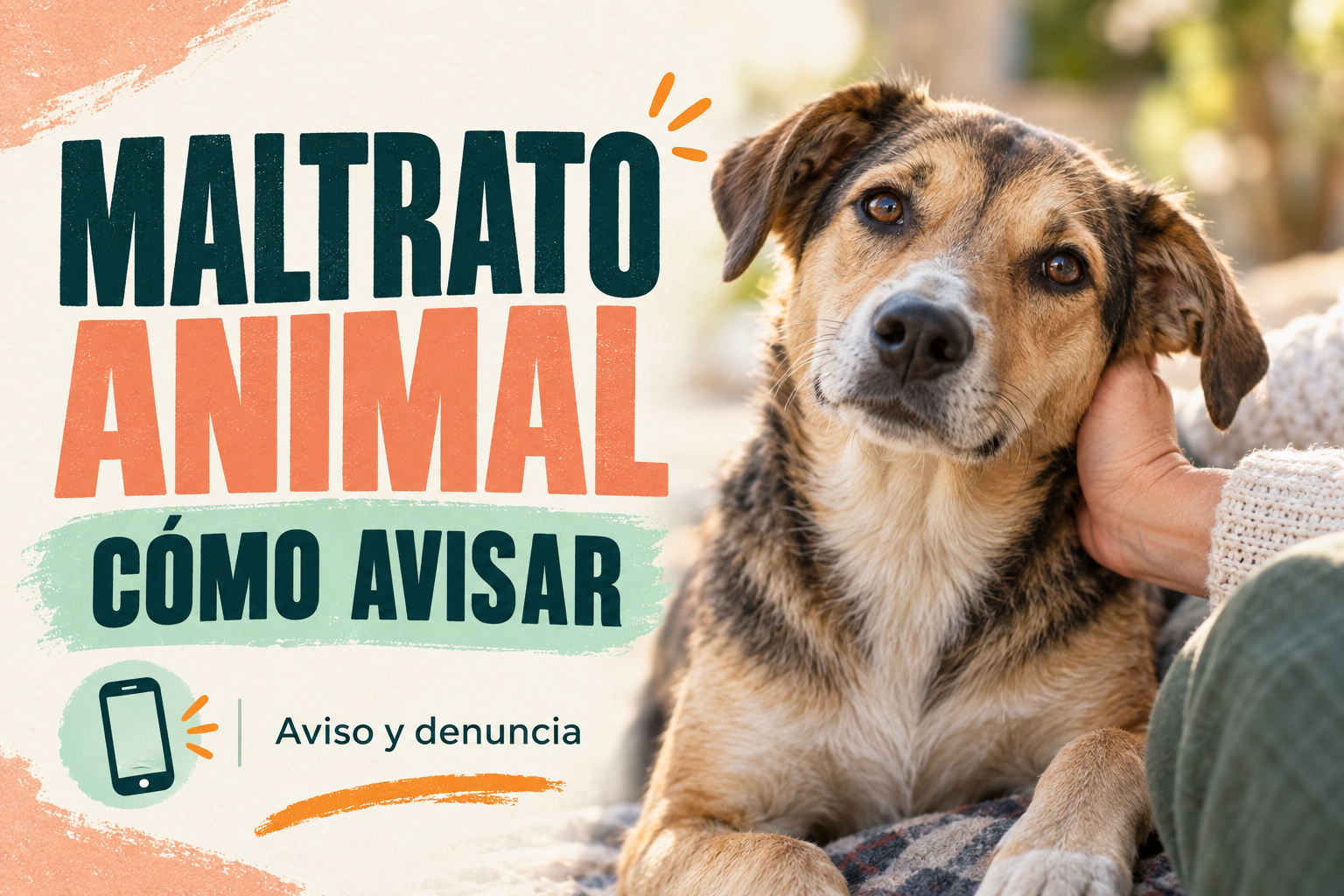 Cómo denunciar maltrato animal: aviso urgente y denuncia formal